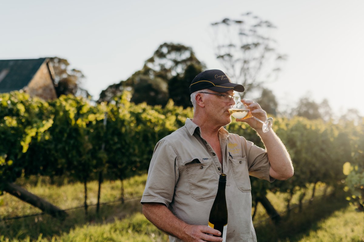 BrandTasmania-CraigieKnoweVineyard-99