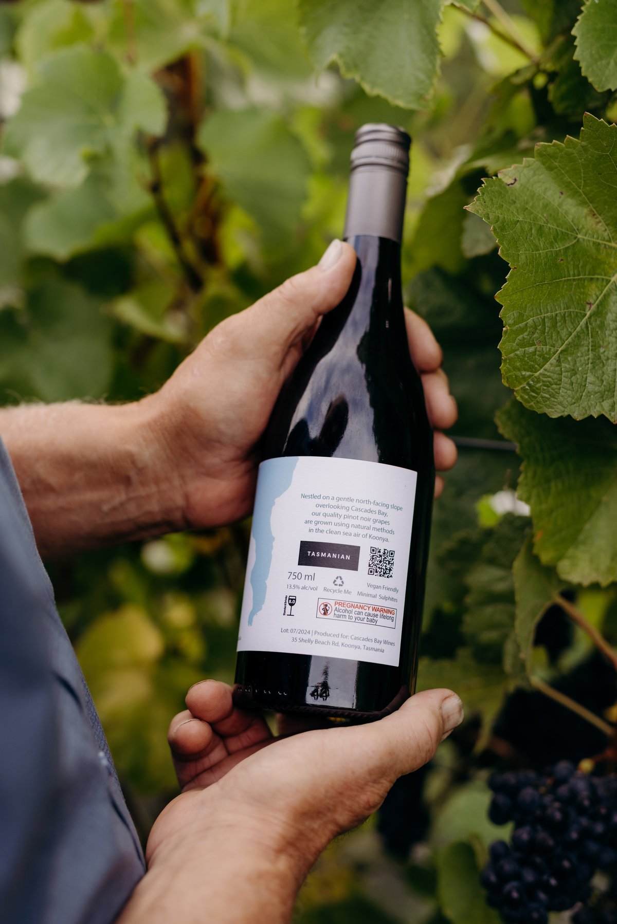 TasmanianMark-CascadesBayWines-59